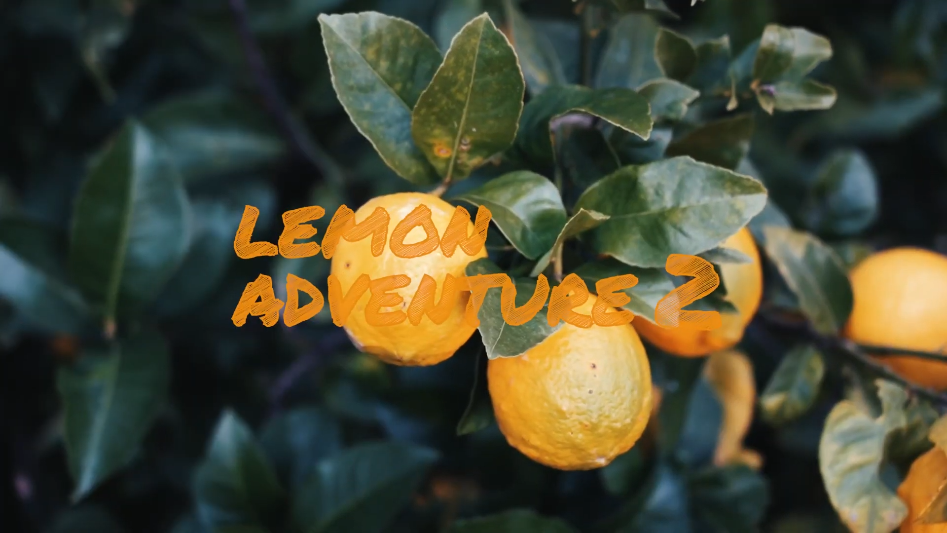 【EDGE+R】GAstroEdu「Lemon Adventure 2」オンラインワークショップを開催しました